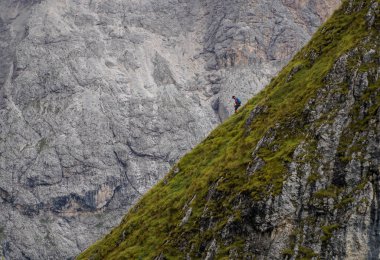 Gri bir kaya duvarının önündeki sarp yeşil bir kayaya tırmanıyor.