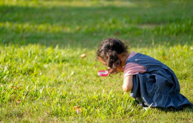 Küçük kız büyüteç kullanarak yeşil bahçedeki çimlerin içinde sabah ışığı olan bir şey arıyor..