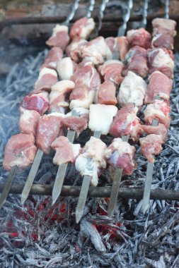 Biftek Mtsvadi karşılamak