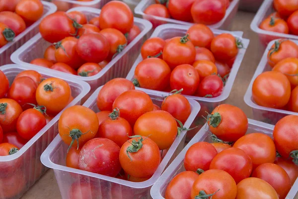 Bir pazarda kırmızı domates — Stok fotoğraf