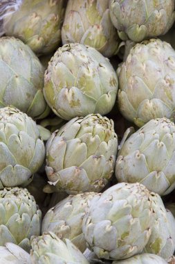 taze enginar satırları