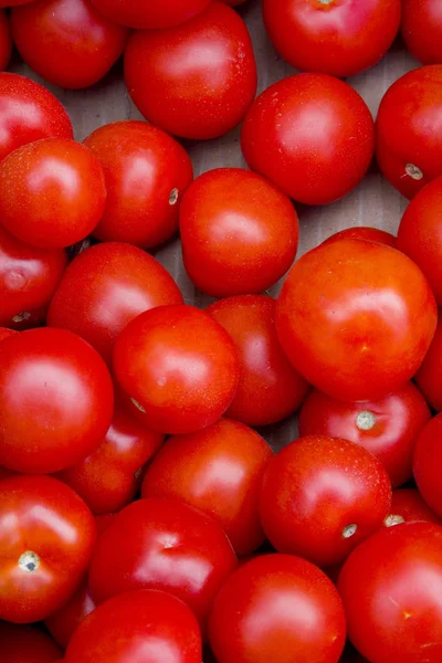Bir pazarda kırmızı domates — Stok fotoğraf