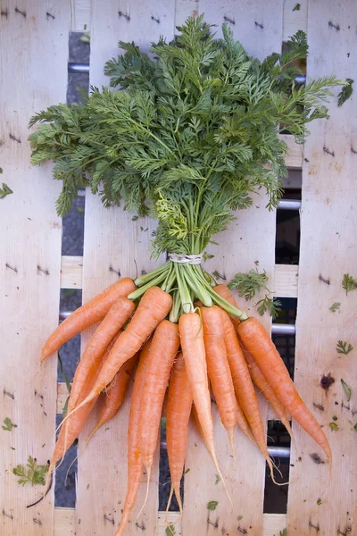 Algumas cenouras em um mercado — Fotografia de Stock
