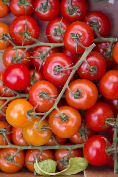 Algunos tomates rojos en un mercado —  Fotos de Stock