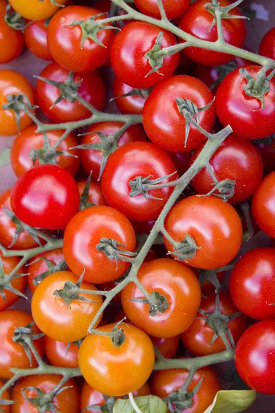 Algunos tomates rojos en un mercado —  Fotos de Stock