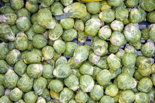 Fresh brussels sprouts — Stock Photo, Image