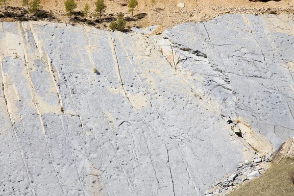 Dinosaur Voetafdrukken Fumanya Zonnige Dag Spanje — Stockfoto