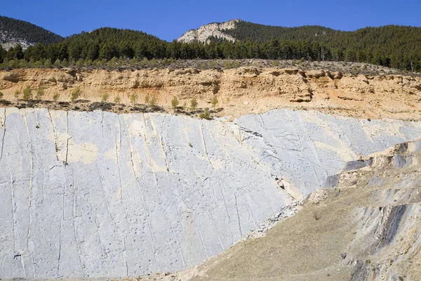 Dinosaur Footprints Fumanya Sunny Day Spain — Stock Photo, Image