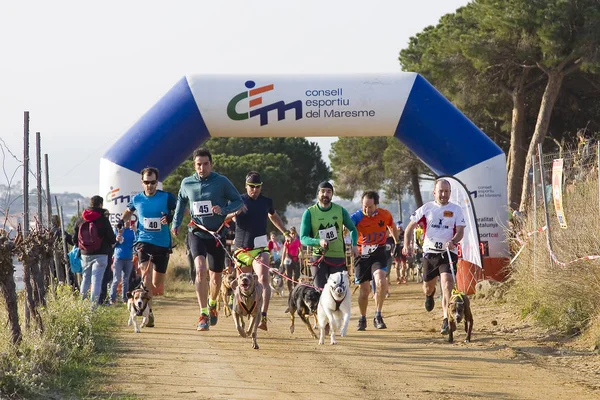 People Participating Canicross Entrevinyes Race February 2020 Alella Barcelona Spain — Stock Photo, Image