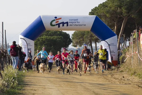 Pessoas Que Participam Corrida Canicross Entrevinyes Fevereiro 2020 Alella Barcelona — Fotografia de Stock