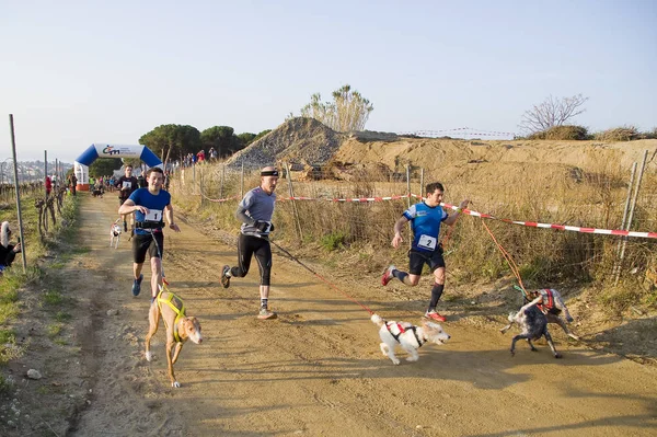 People Participating Canicross Entrevinyes Race February 2020 Alella Barcelona Spain — Stock Photo, Image