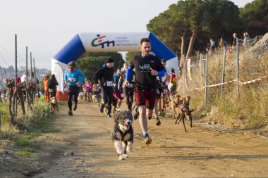 Canicross Entrevinyes yarışına katılan insanlar, 9 Şubat 2020 tarihinde, Alella, Barcelona, İspanya.