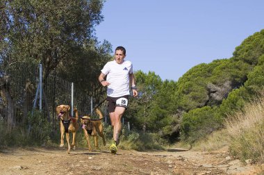 Canicross Entrevinyes yarışına katılan insanlar, 9 Şubat 2020 tarihinde, Alella, Barcelona, İspanya.