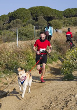 Canicross Entrevinyes yarışına katılan insanlar, 9 Şubat 2020 tarihinde, Alella, Barcelona, İspanya.