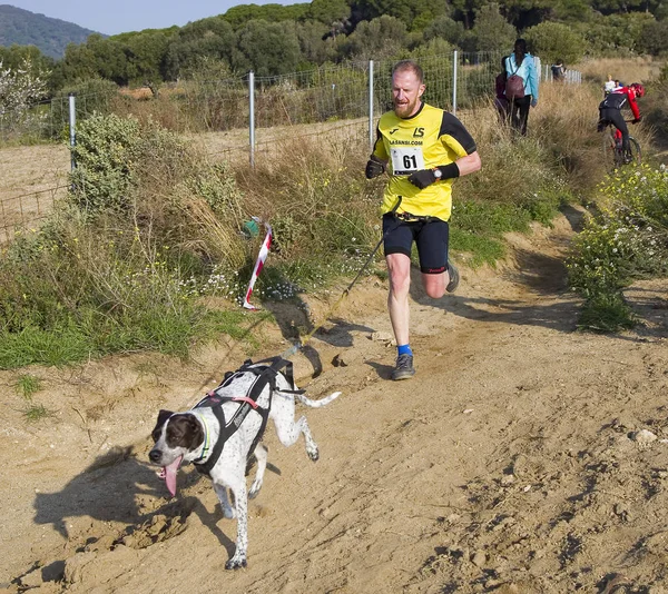 Deelnemers Aan Canicross Entrevinyes Race Februari 2020 Alella Barcelona Spanje — Stockfoto