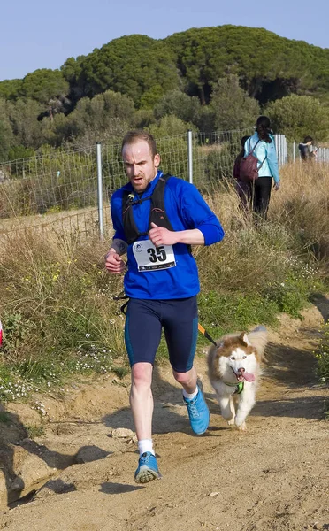 People Participating Canicross Entrevinyes Race February 2020 Alella Barcelona Spain — Stock Photo, Image