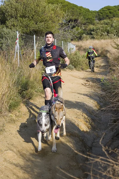 People Participating Canicross Entrevinyes Race February 2020 Alella Barcelona Spain — Stock Photo, Image