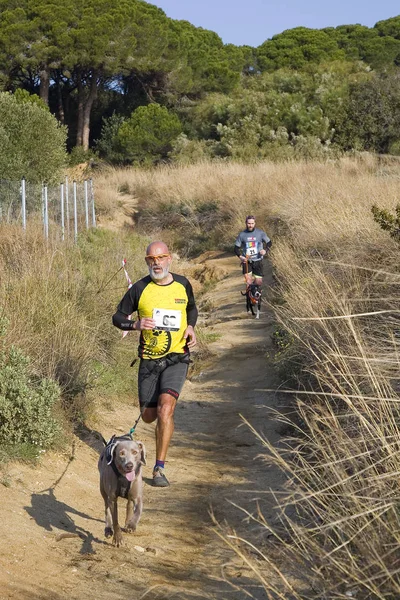 Pessoas Que Participam Corrida Canicross Entrevinyes Fevereiro 2020 Alella Barcelona — Fotografia de Stock