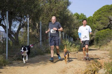 Canicross Entrevinyes yarışına katılan insanlar, 9 Şubat 2020 tarihinde, Alella, Barcelona, İspanya.