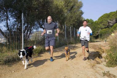 Canicross Entrevinyes yarışına katılan insanlar, 9 Şubat 2020 tarihinde, Alella, Barcelona, İspanya.