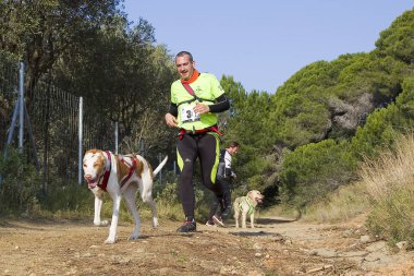 Canicross Entrevinyes yarışına katılan insanlar, 9 Şubat 2020 tarihinde, Alella, Barcelona, İspanya.