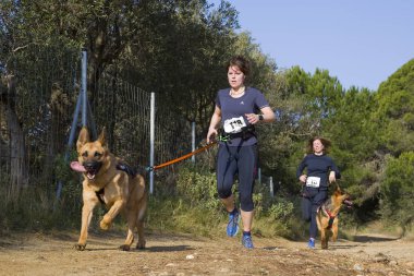 Canicross Entrevinyes yarışına katılan insanlar, 9 Şubat 2020 tarihinde, Alella, Barcelona, İspanya.