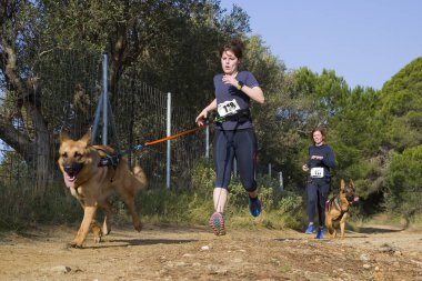 Canicross Entrevinyes yarışına katılan insanlar, 9 Şubat 2020 tarihinde, Alella, Barcelona, İspanya.