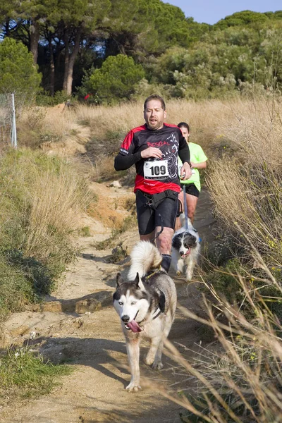 Personas Que Participan Carrera Canicross Entrevinyes Febrero 2020 Alella Barcelona —  Fotos de Stock