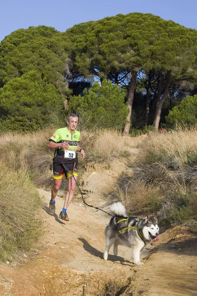 People Participating Canicross Entrevinyes Race February 2020 Alella Barcelona Spain — Stock Photo, Image