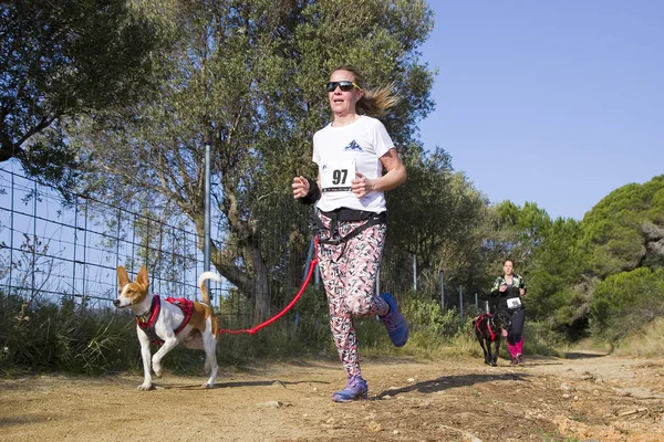People Participating Canicross Entrevinyes Race February 2020 Alella Barcelona Spain — Stock Photo, Image