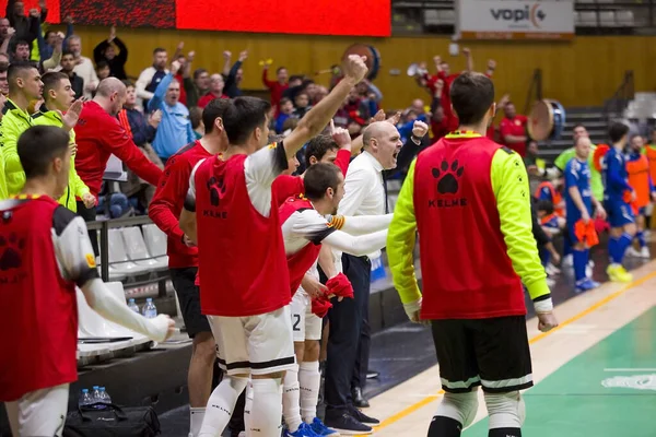 Celebración Goles Partido Liga Española Futsal Lnfs Entre Industrias Garcia —  Fotos de Stock
