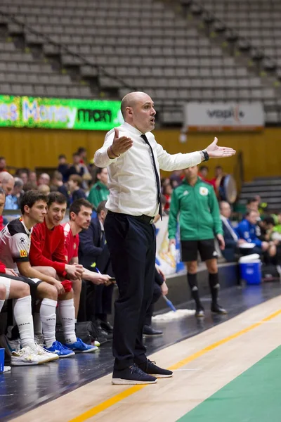 Javi Rodriguez Match Lnfs Futsal League Espagnol Entre Industrias Garcia — Photo