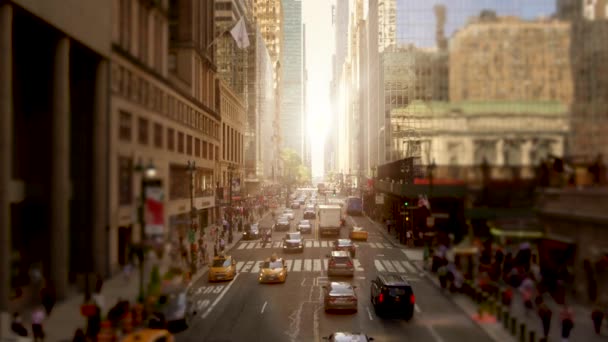 Городской вид Нью-Йорка — стоковое видео
