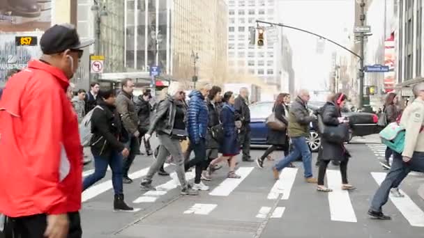 Gente cruzando calle en la ciudad — Vídeo de stock