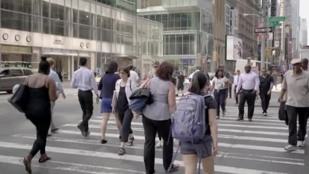도시에서 사람들이 건너 거리 — 비디오