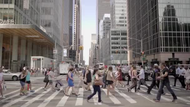 Personer korsar gatan i staden — Stockvideo