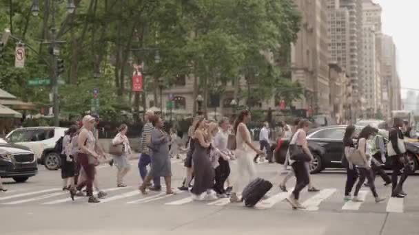 People crossing street in the city — Stock Video