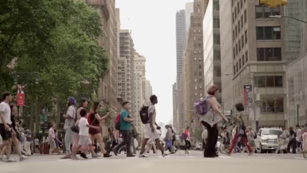 Personnes traversant la rue dans la ville — Video