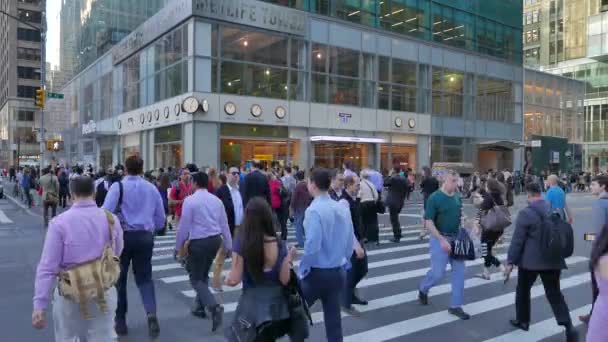 Gente cruzando calle en la ciudad — Vídeos de Stock