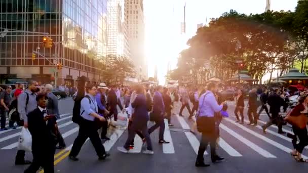 Personer korsar gatan i staden — Stockvideo