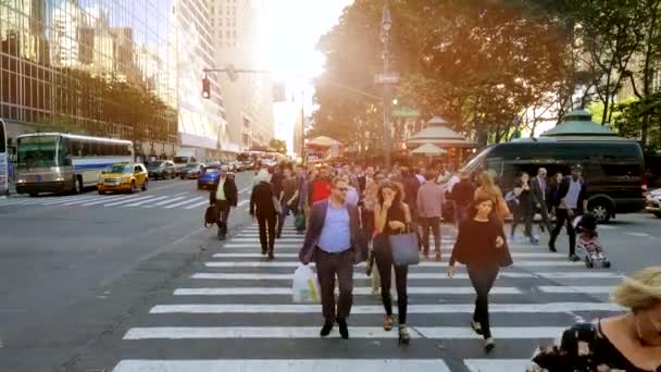 Personer korsar gatan i staden — Stockvideo