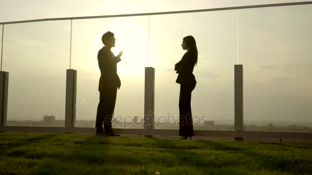 Business people having a meeting — Stock Video