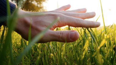 taze yeşil çim üzerinde el