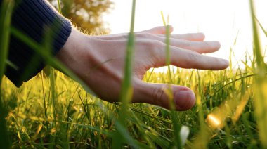 taze yeşil çim üzerinde el