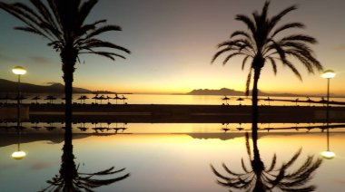 Palmiyeli tropik plaj