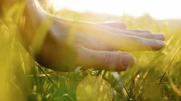 taze yeşil çim üzerinde el