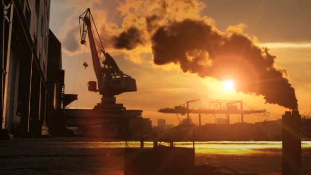 Kranen arbetar på industriområde i solnedgången — Stockvideo