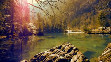 Sakin göl ormanıyla çevrili