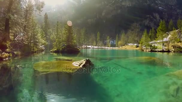 Klidné jezero obklopené lesem — Stock video