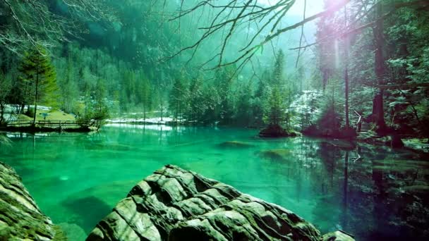 Lago tranquilo rodeado de bosque — Vídeo de stock